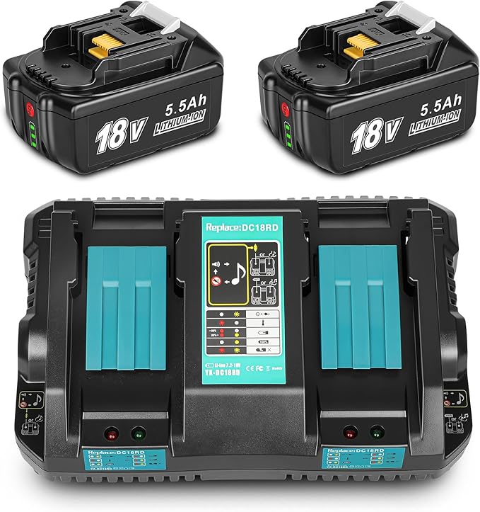 Ladegerät + 2 x 18v-Akkus