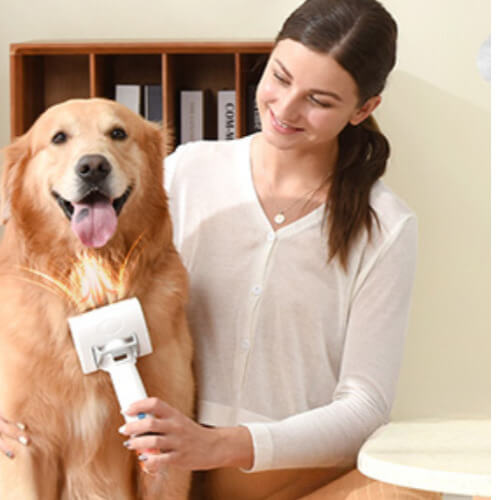 Hundeschermaschine – Leistung von 1300 Pa