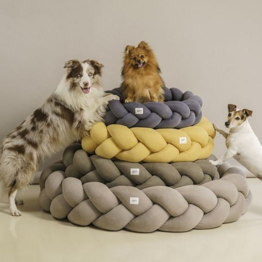 Geflochtenes Bett für Haustiere