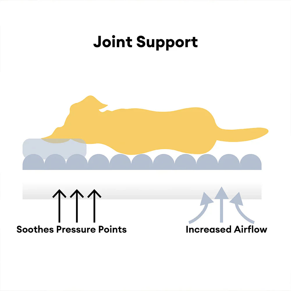 Schlafsofa für Hunde - Snoozy Dream