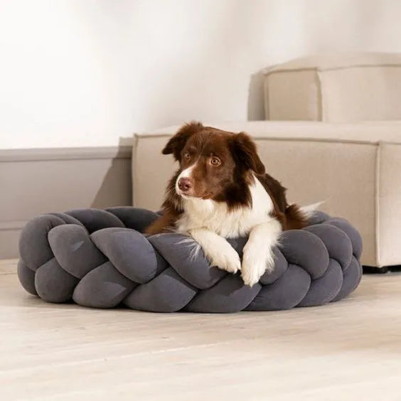 Geflochtenes Bett für Haustiere