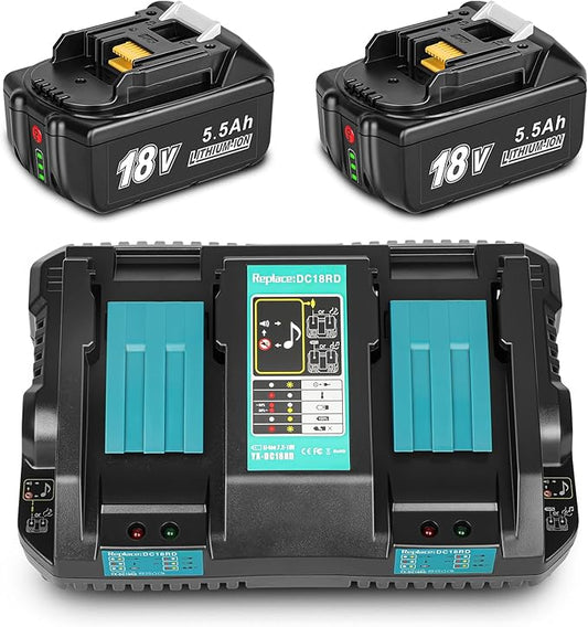 Ladegerät + 2 x 18v-Akkus