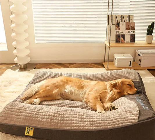 Cuscino per cani personalizzato grande spesso resistente ai graffi con protezione per la schiena