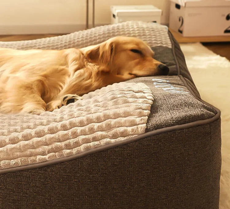 Cuscino per cani personalizzato grande spesso resistente ai graffi con protezione per la schiena