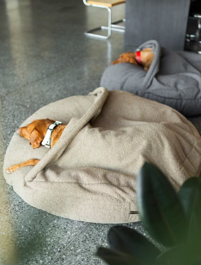 Hundehütte mit integrierter Decke