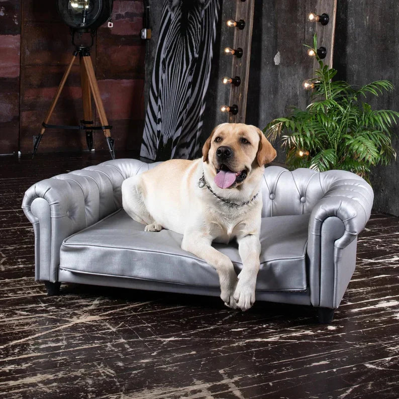 Luxussofa für Haustiere