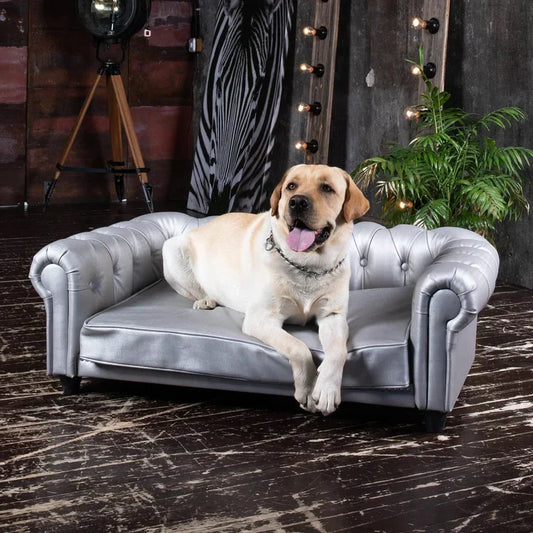 Luxussofa für Haustiere