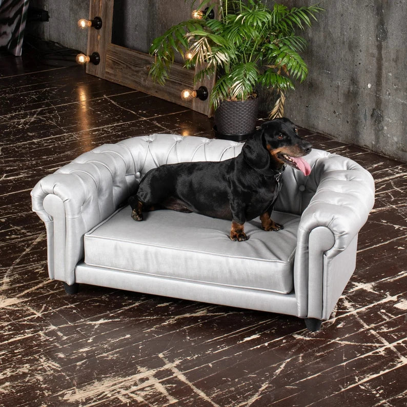 Luxussofa für Haustiere